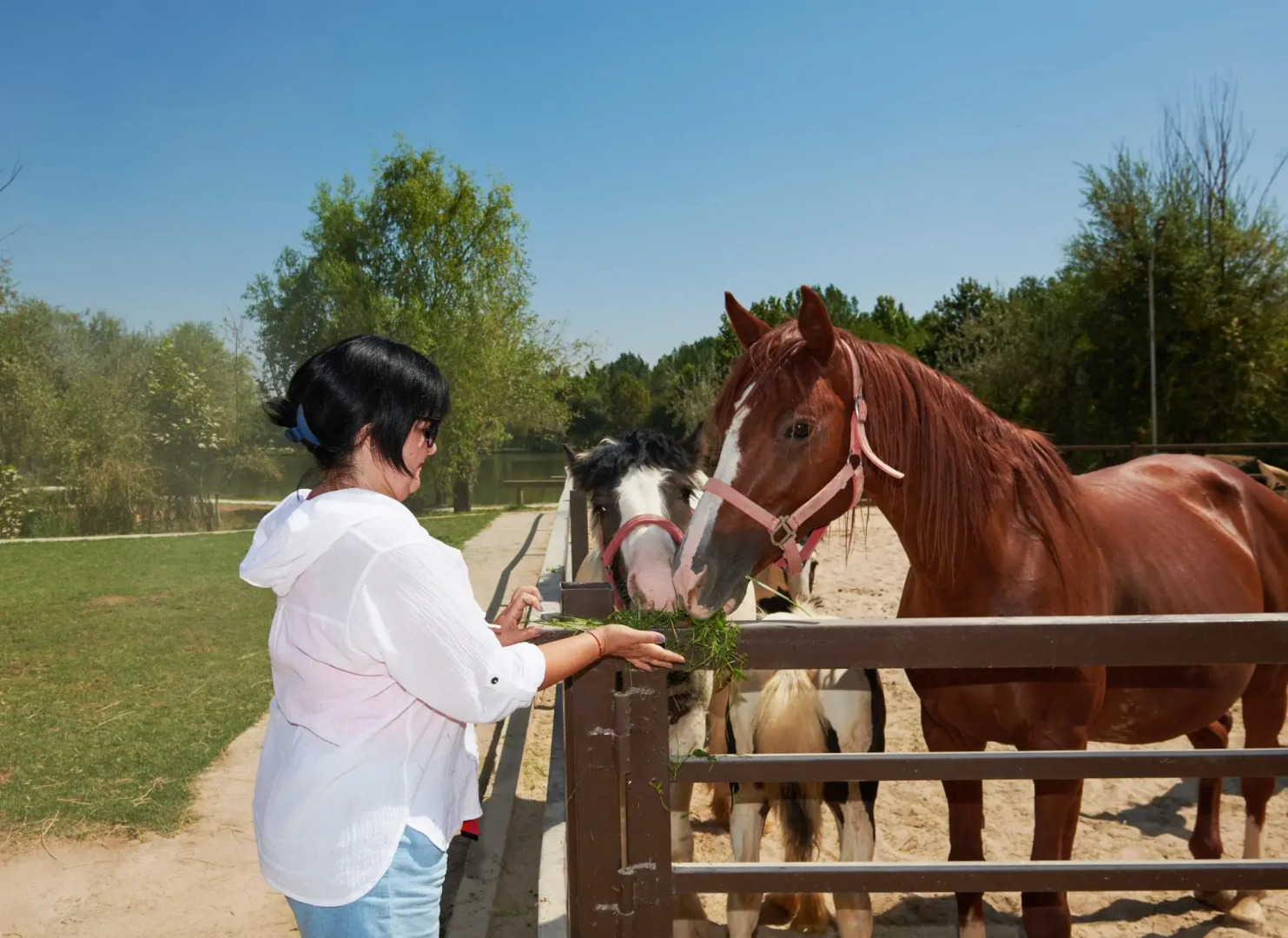 Golden Fish (Голден Фиш)