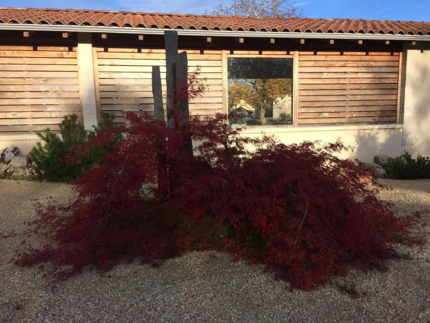 Le Couvent de Neuviale