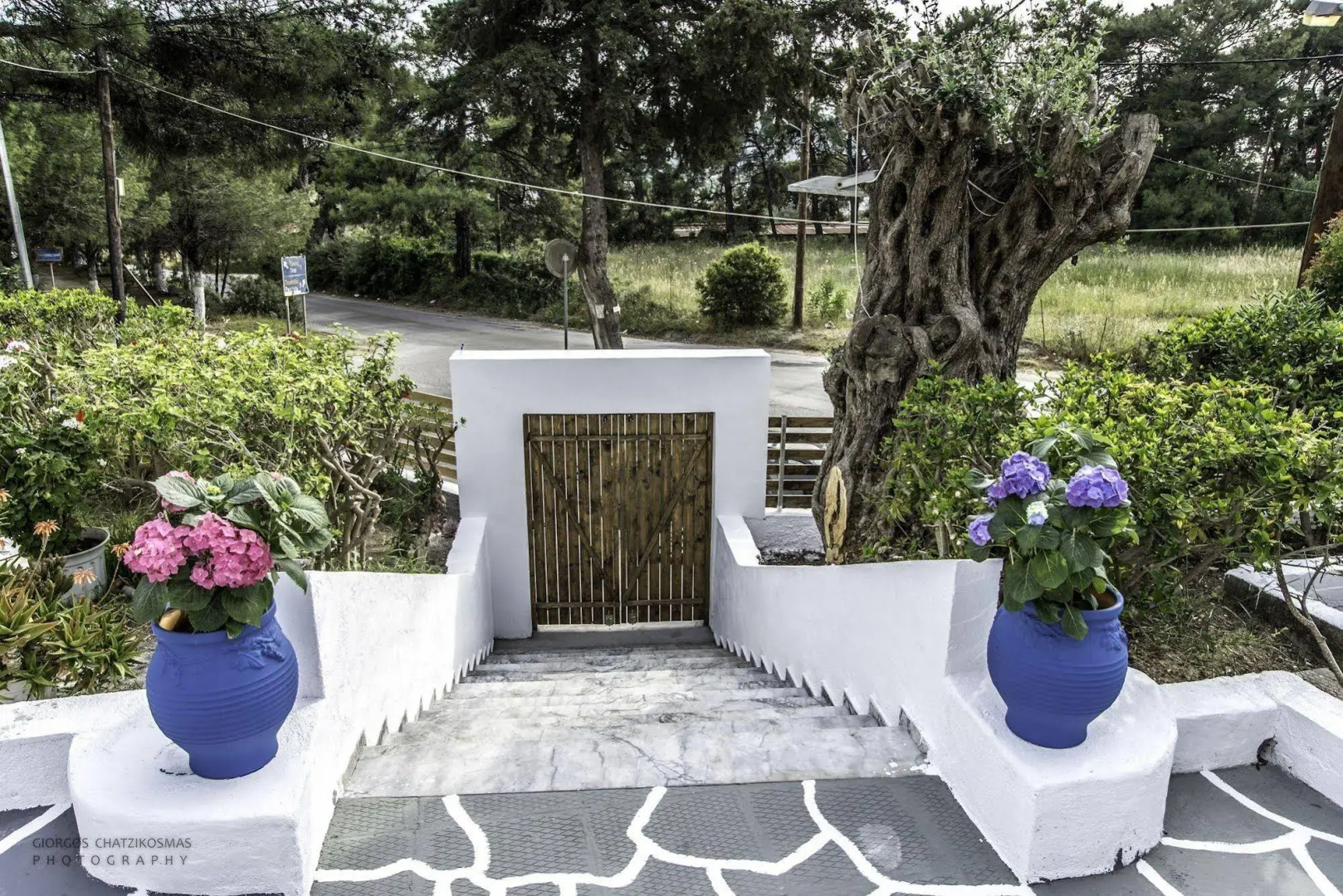 Отель Trees Art Boutique