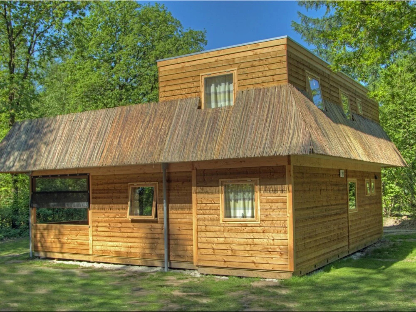 Unique House wit Roof Terrace near Assen