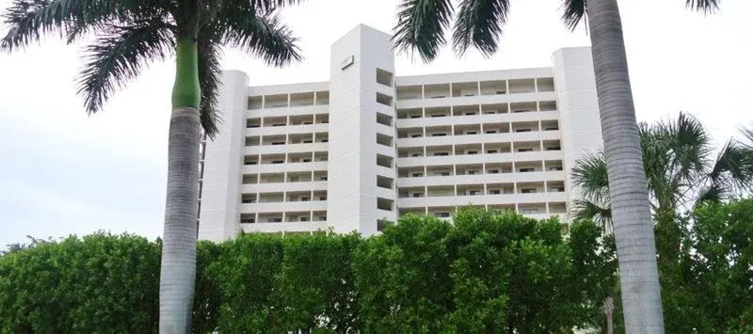 The Original Beachcomber Daily