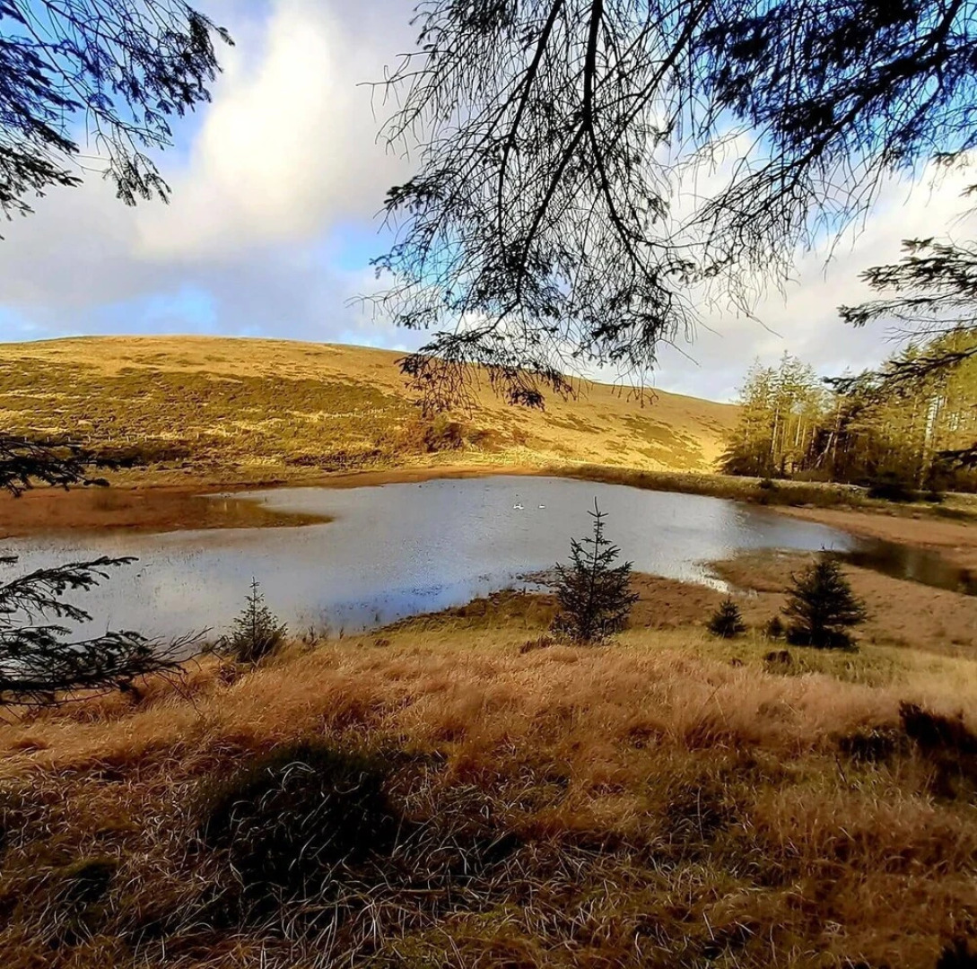 Forester's Retreat Glamping - Dinas View
