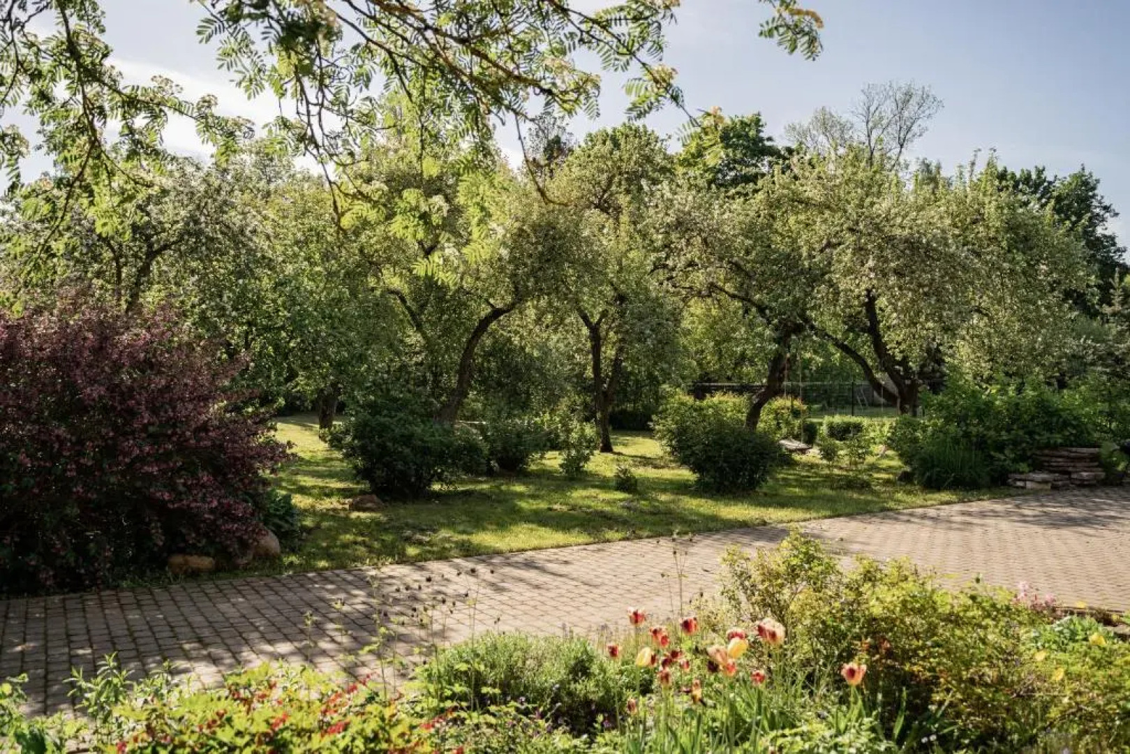 Kunderi 16 Holiday House