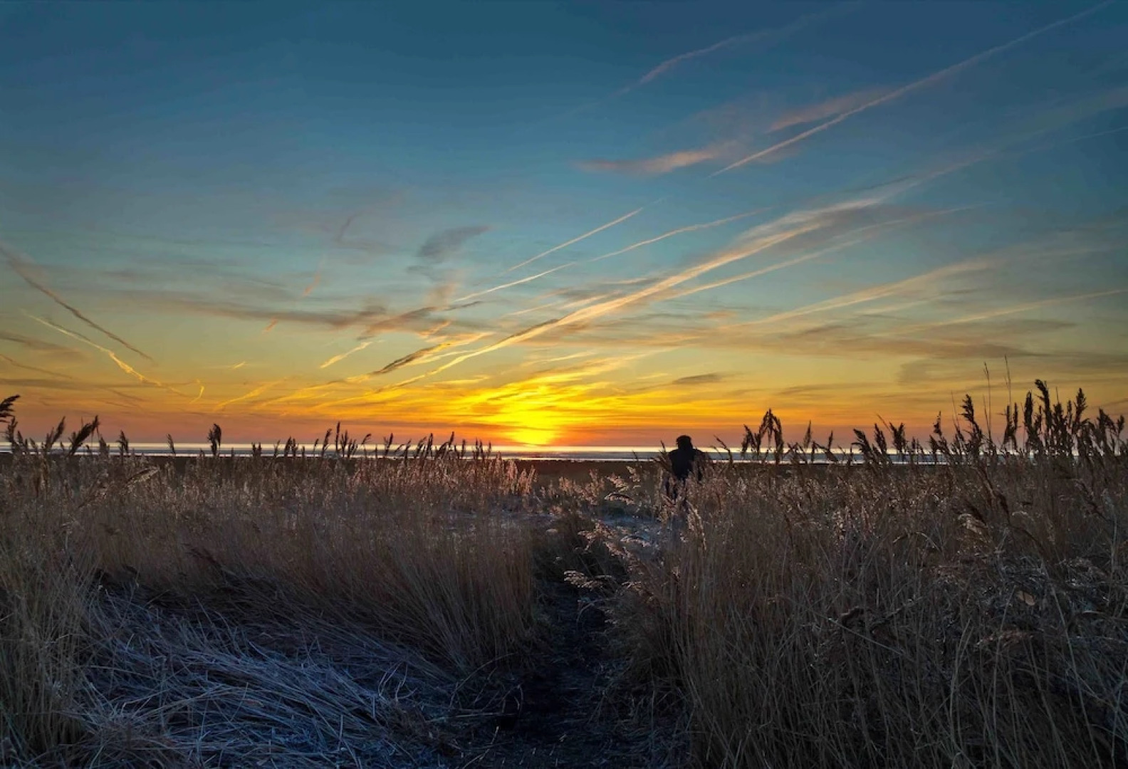 The Lodge at Prince's