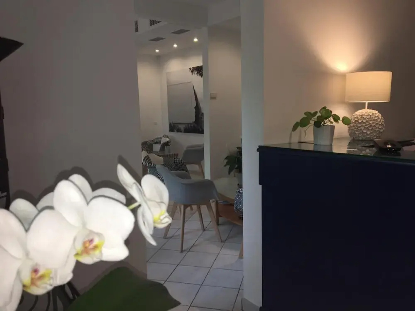 Hôtel Les Rives Bleues