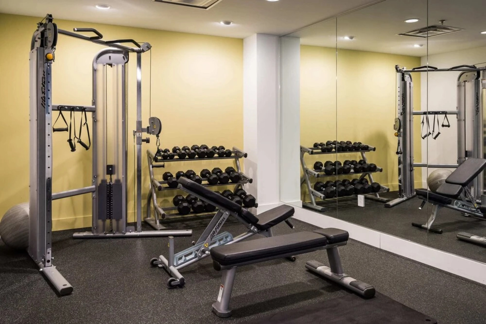 MONTCLAIR - Modern CWE Apts near BJC by Zencity