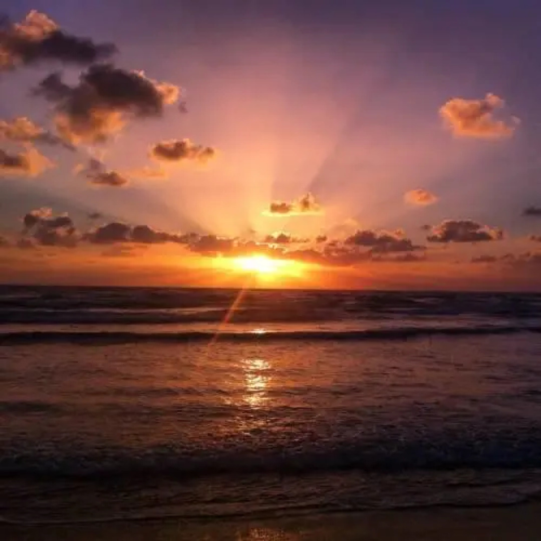 Shantell Boutique Apartments