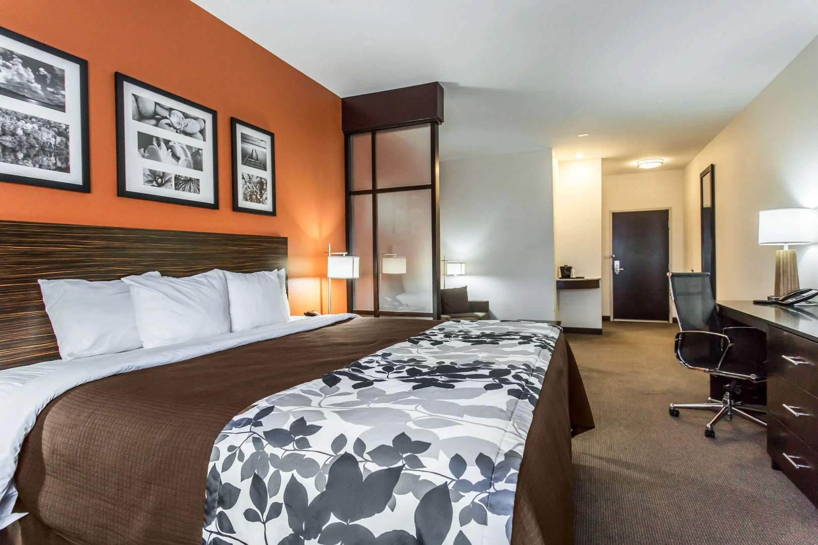 Sleep Inn & Suites Lubbock West