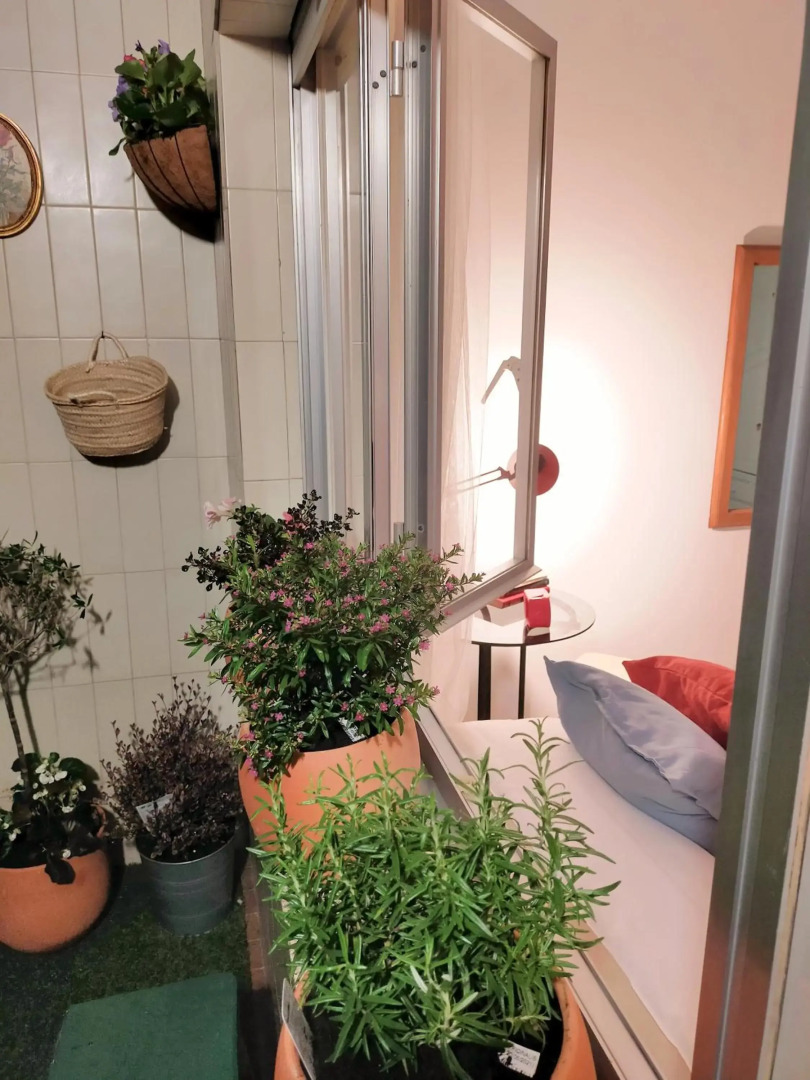 Apartamento boutique "A casa de Lola"