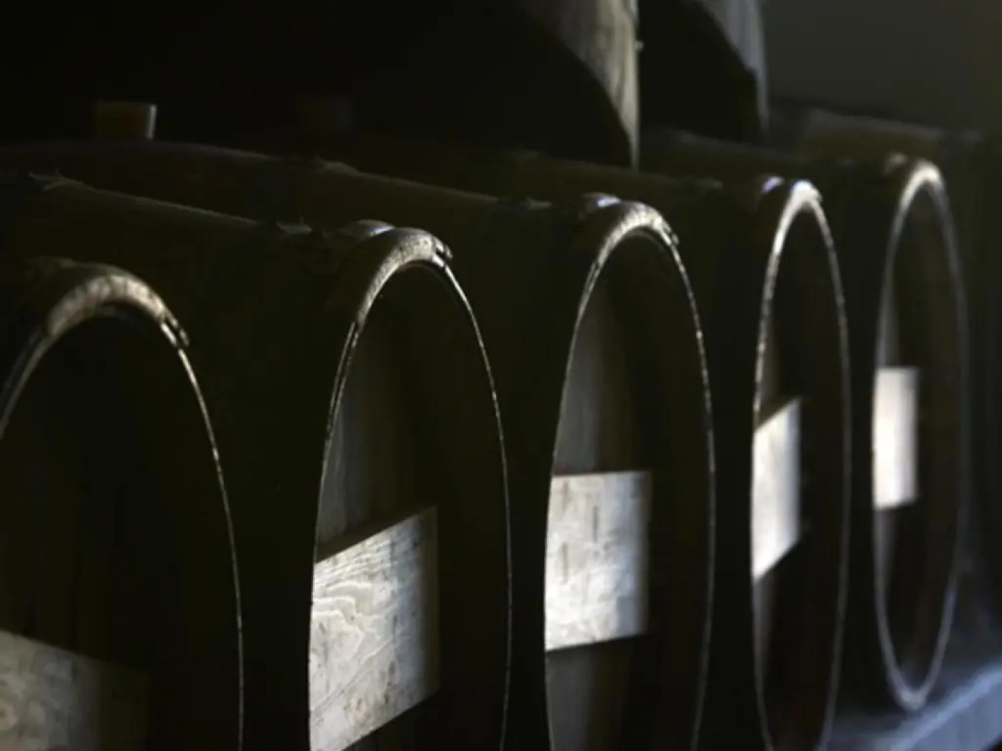 Gîte Bénesse-lès-Dax, 3 pièces, 4 personnes - FR-1-360-47