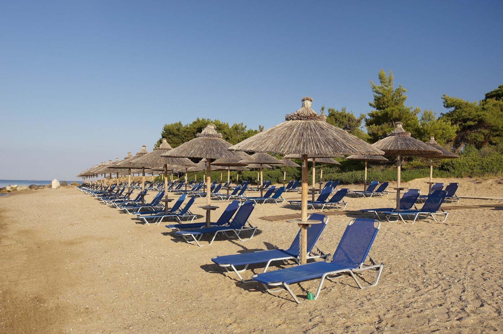 Blue Dolphin Resort Hotel