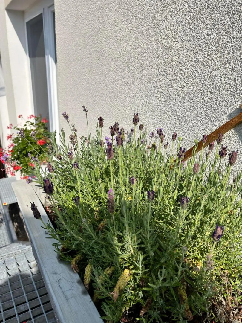 P&P APARTMÁNY Bojnice