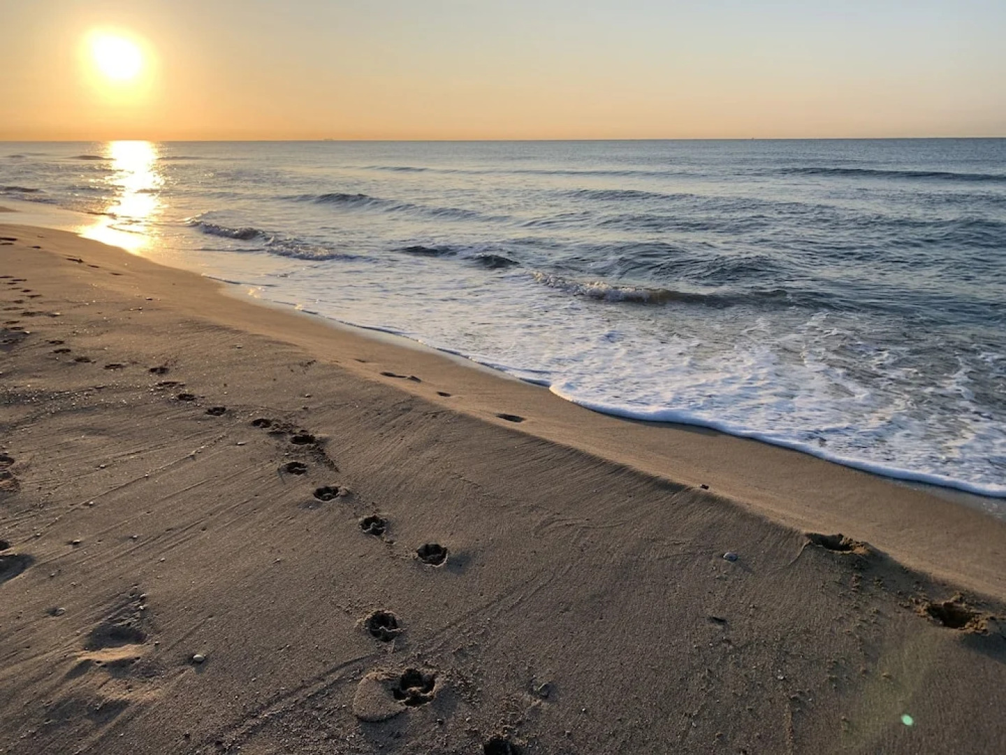 Mersey Be my Guest Castelldefels