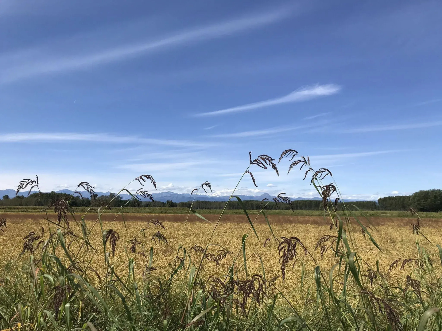 Residence Campagnole