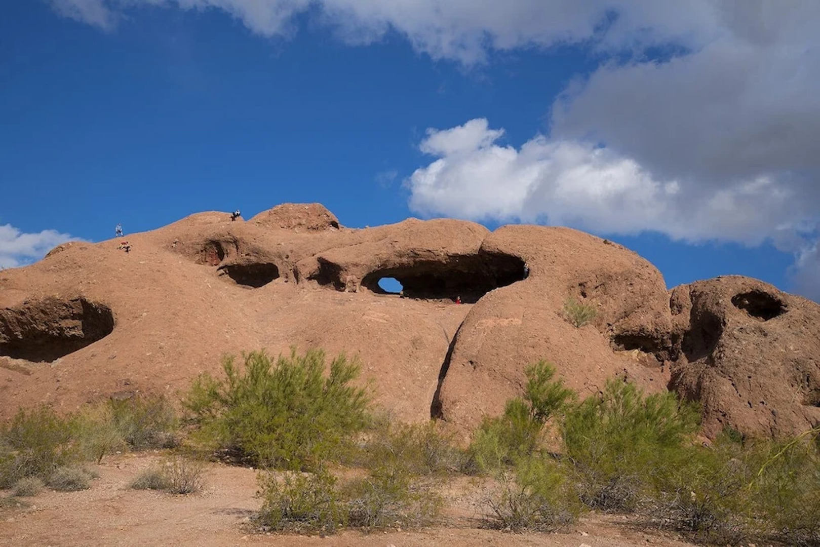 Park Suites at 206 - Free Golf