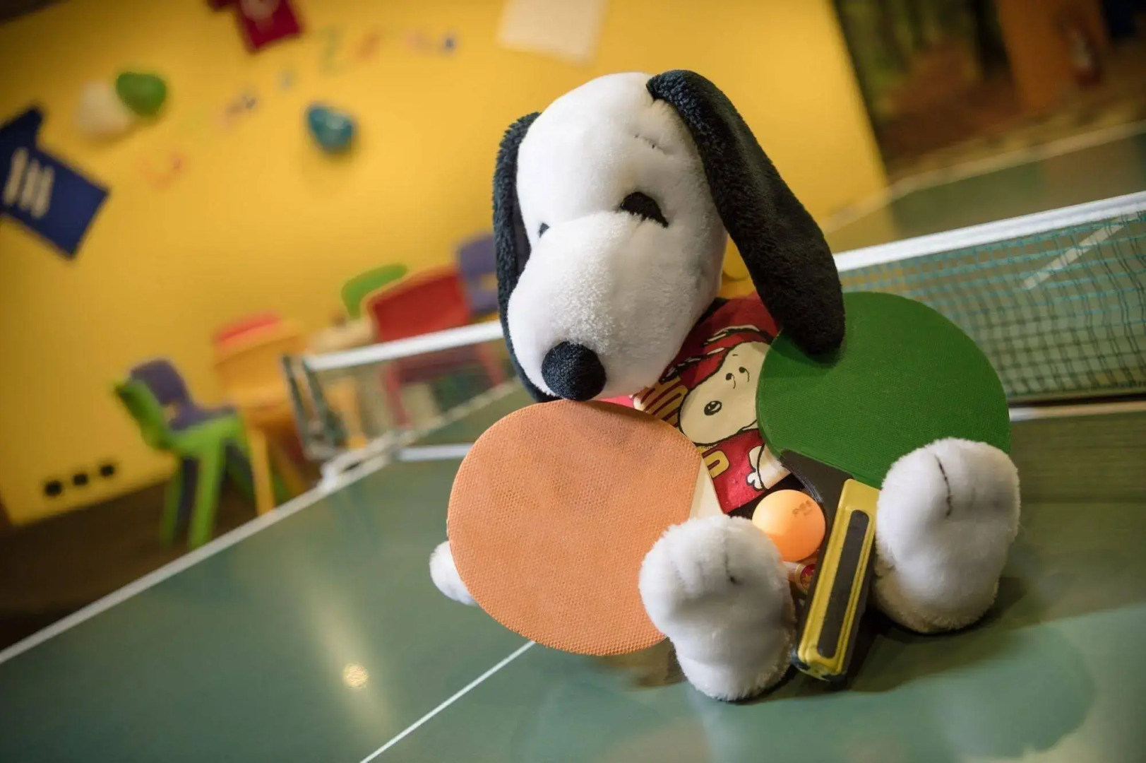 Family & Wellness Hotel Serena