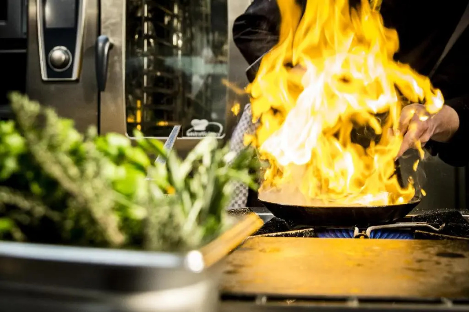 Residenz Hotel Zum Zollhaus