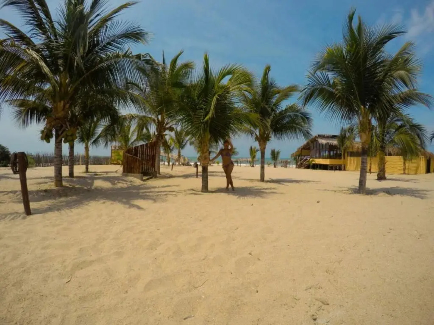 Bamboo Lodge Zorritos