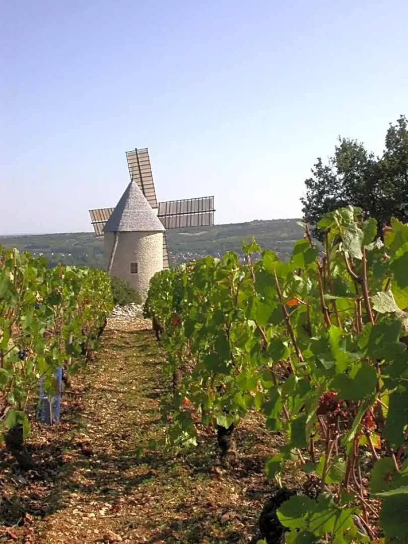 Villa Thermae Santenay