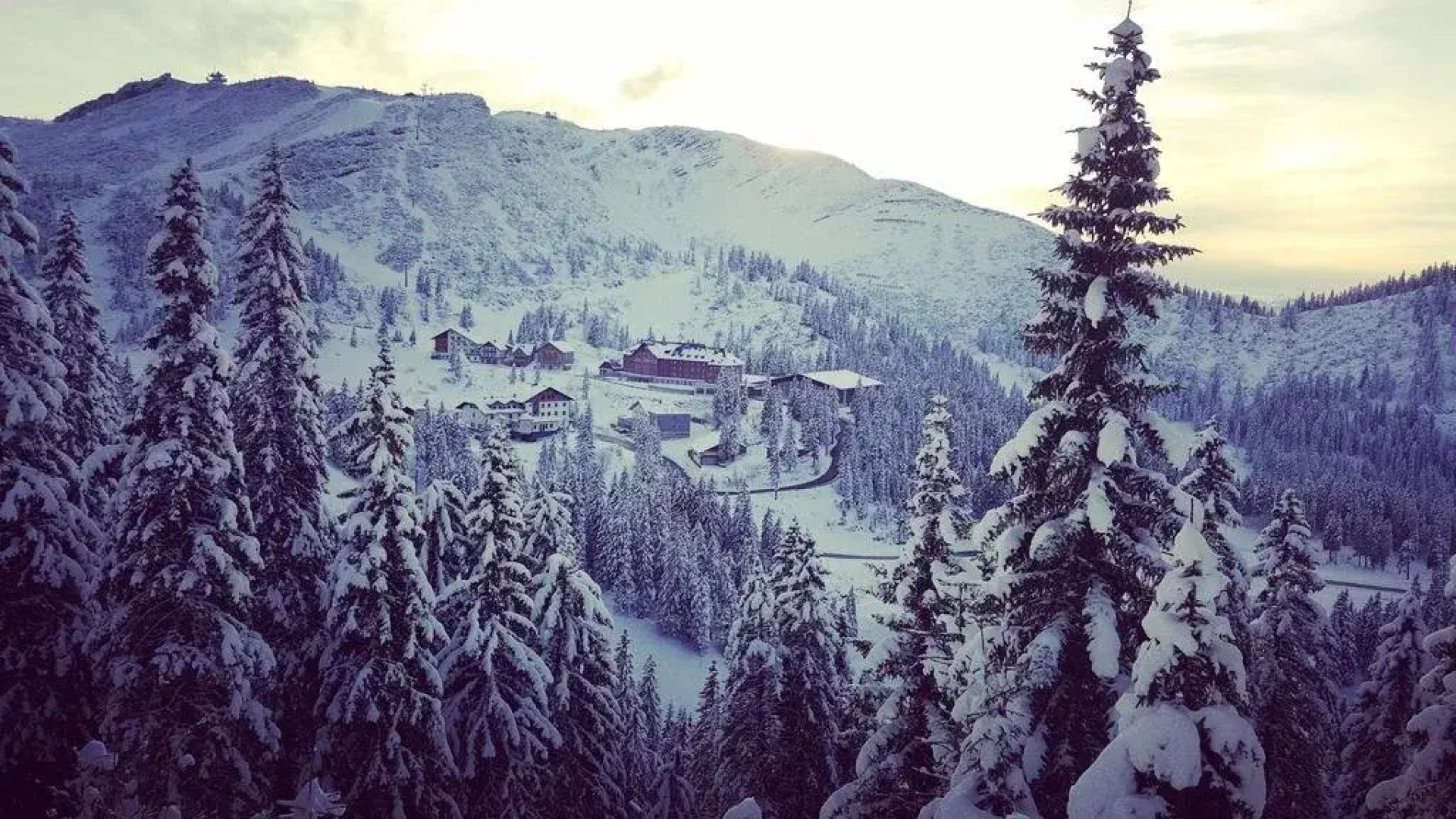 JoSchi Almgasthof Hochkar