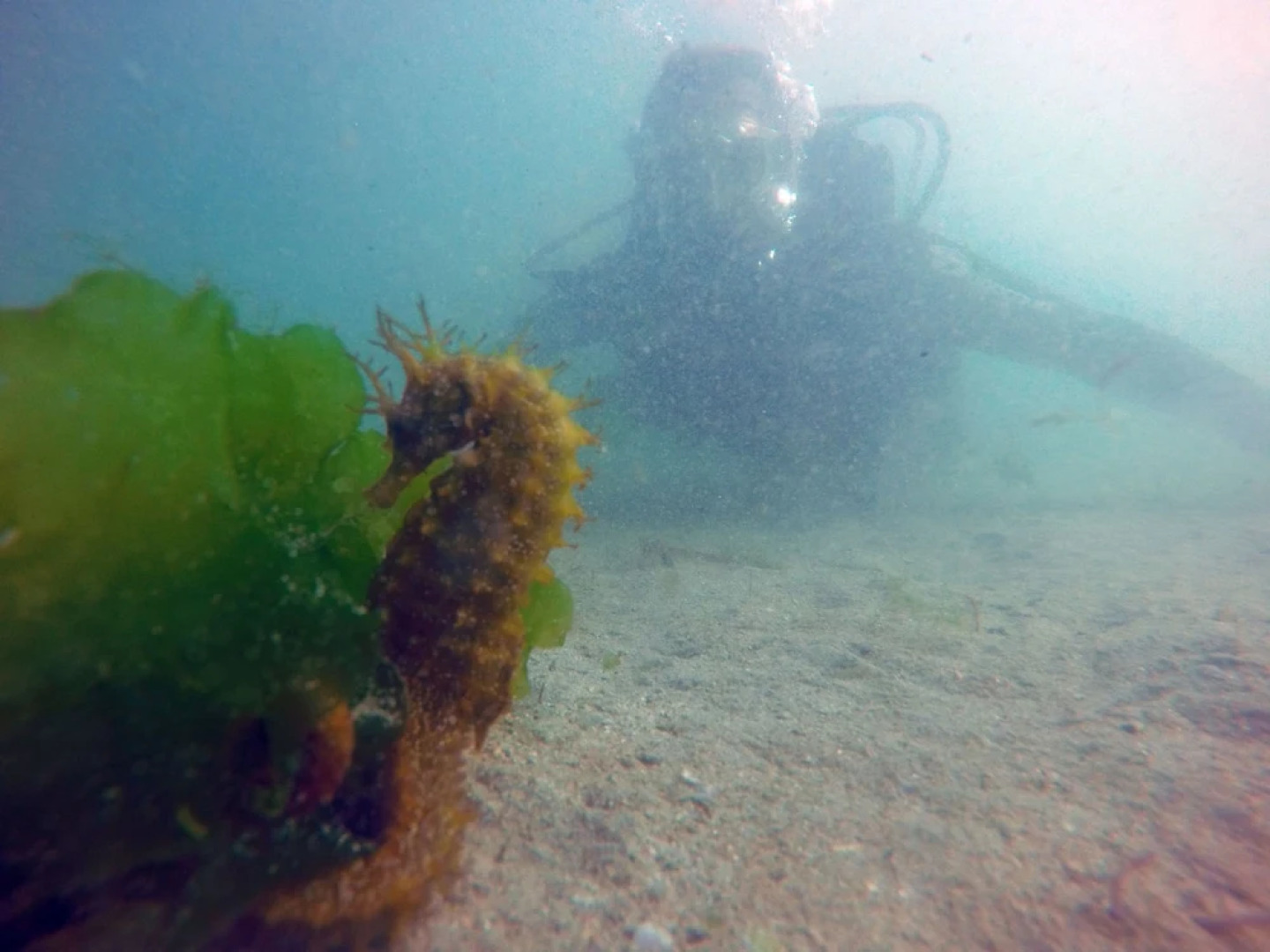 Apartamentos Ría de Aldán