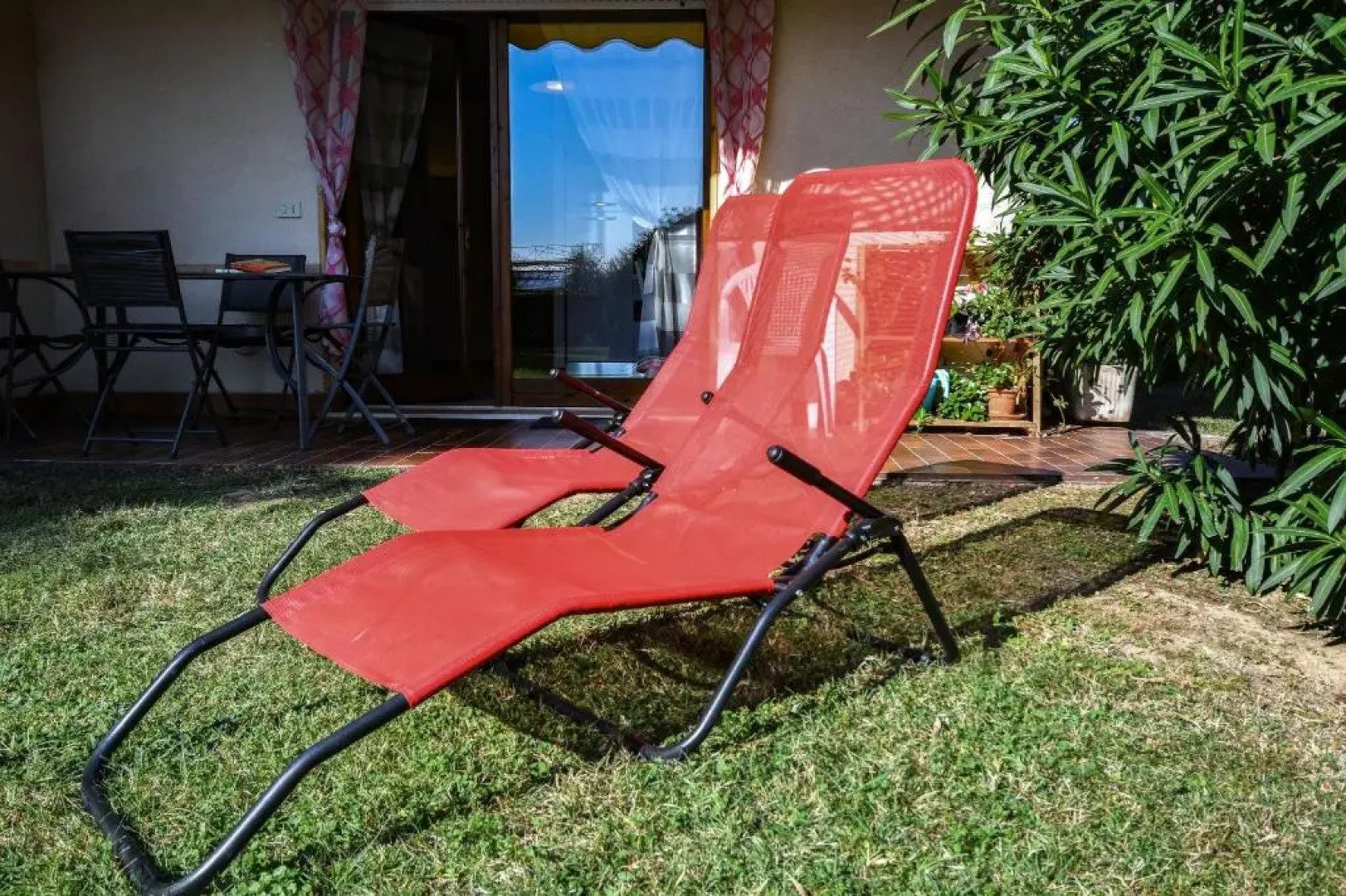 Prato Verde - Girasole