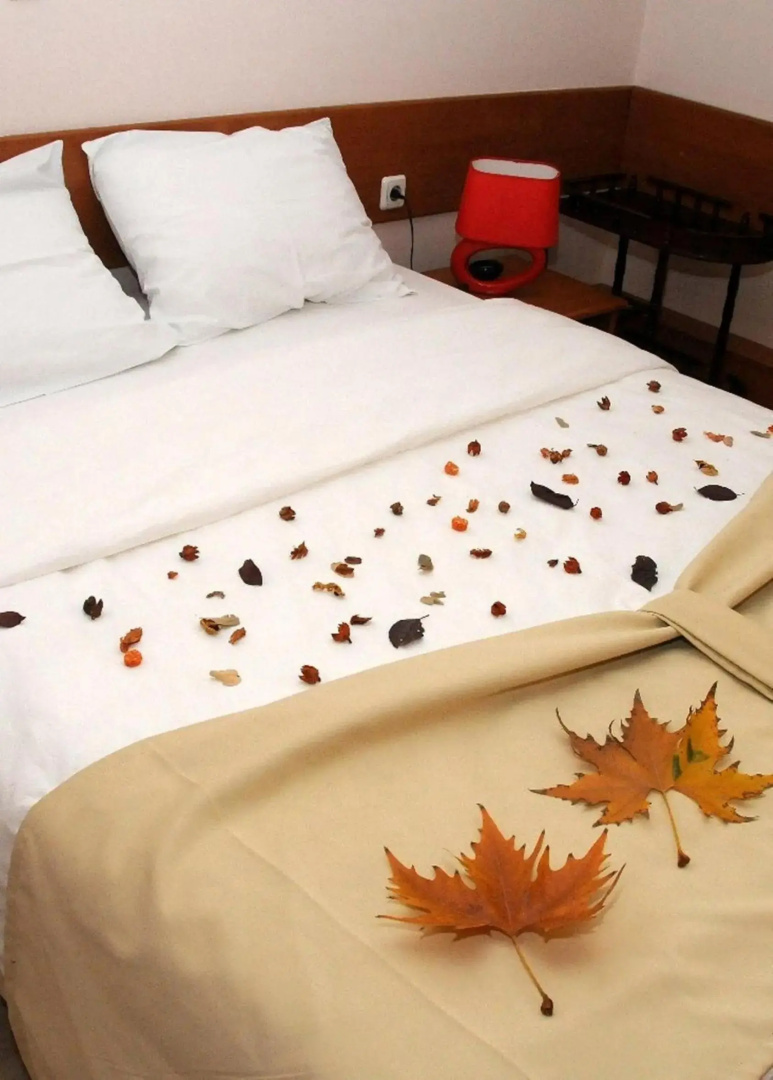 Hotel Tomce Sofka