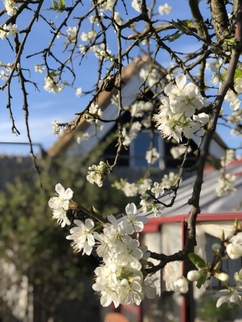 Sydkustens at Pillehill