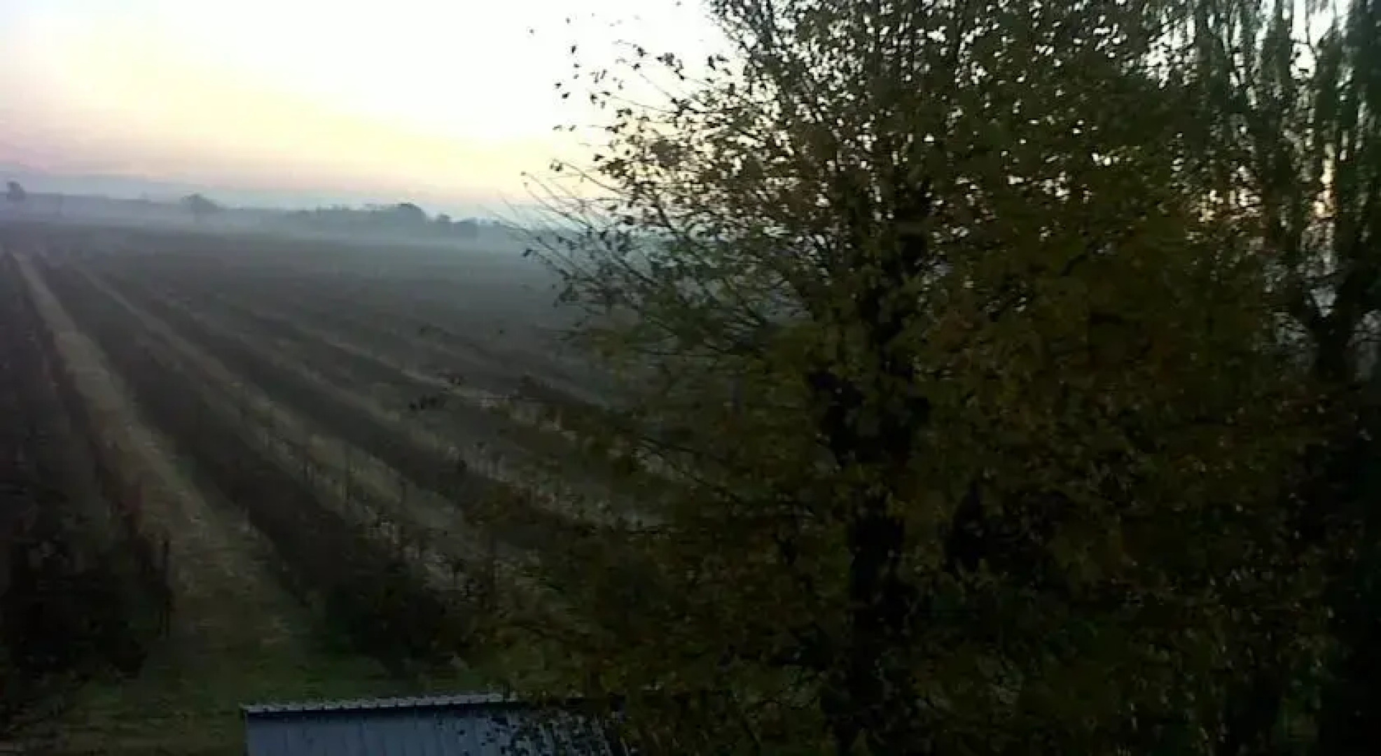 Bed & Breakfast VITTORIA