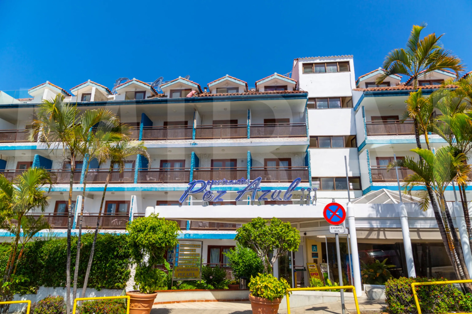 Apartamentos Pez Azul