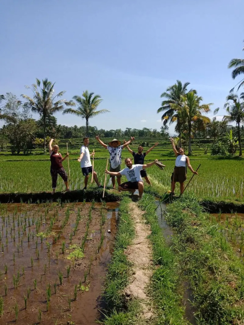 Ubud Sawah Homestay