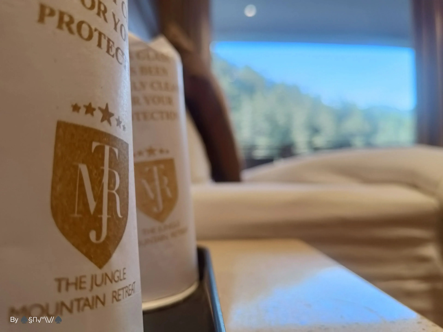 The Jungle Mountain Retreat