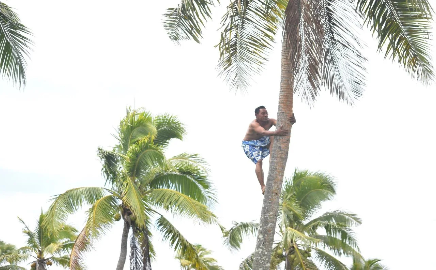 Likualofa Beach Resort