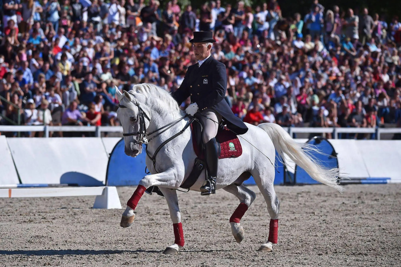 Lipica - Hotel Maestoso