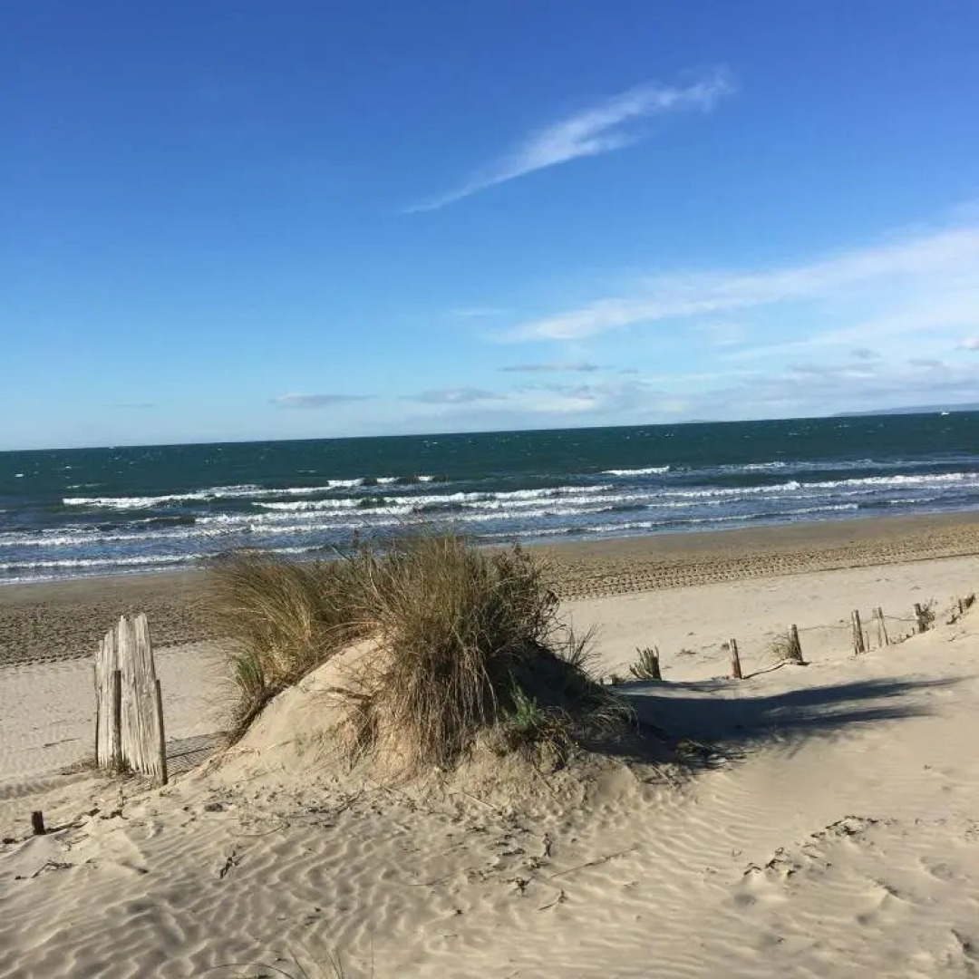 Studio vue port, belle terrasse, piscine