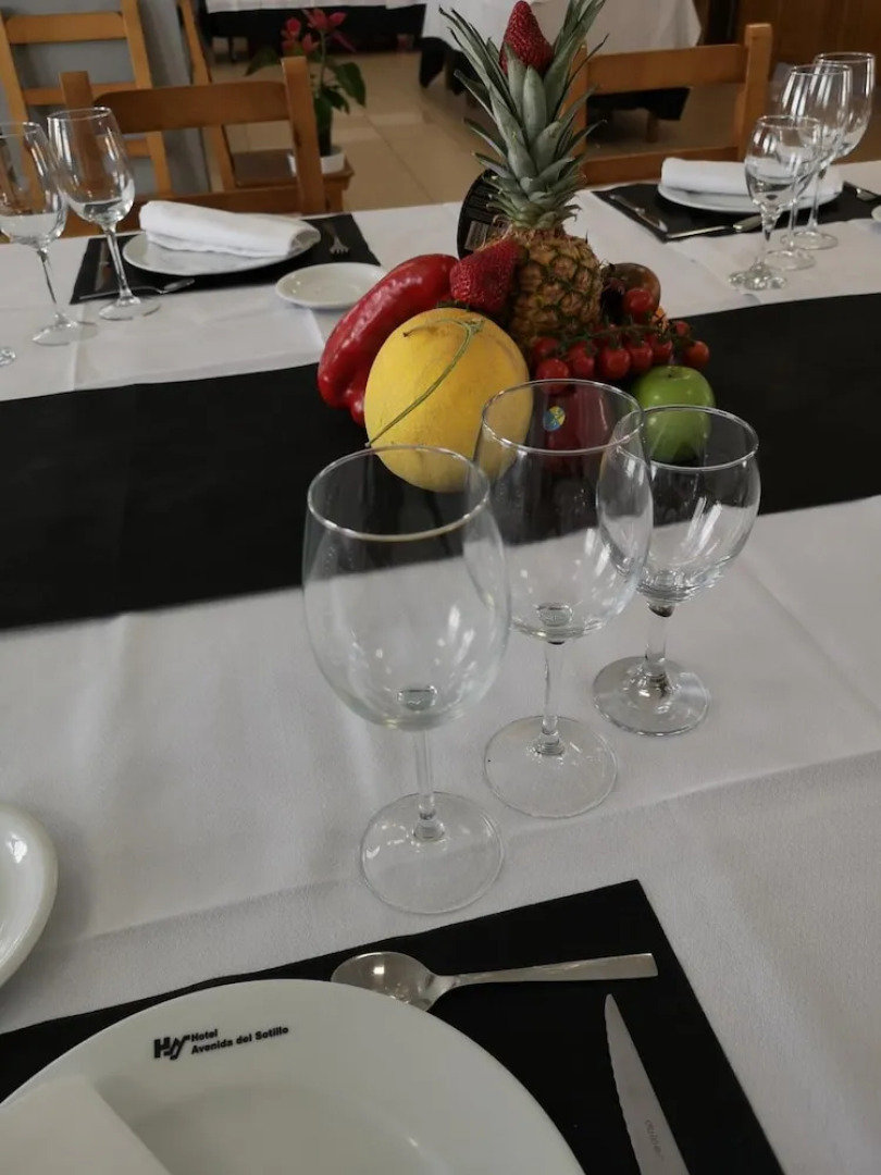 Hotel Avenida Del Sotillo