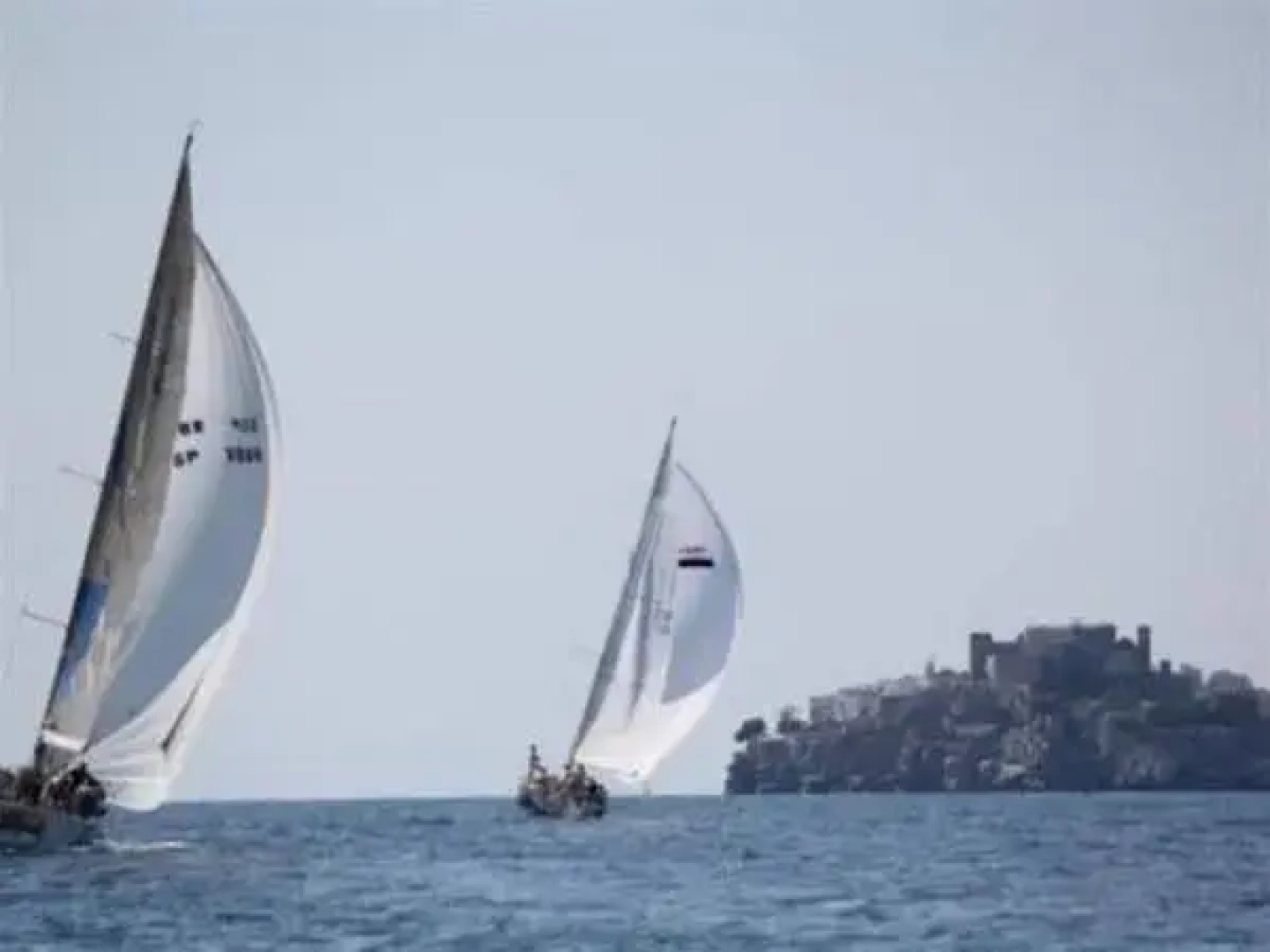 Estrella del Mar