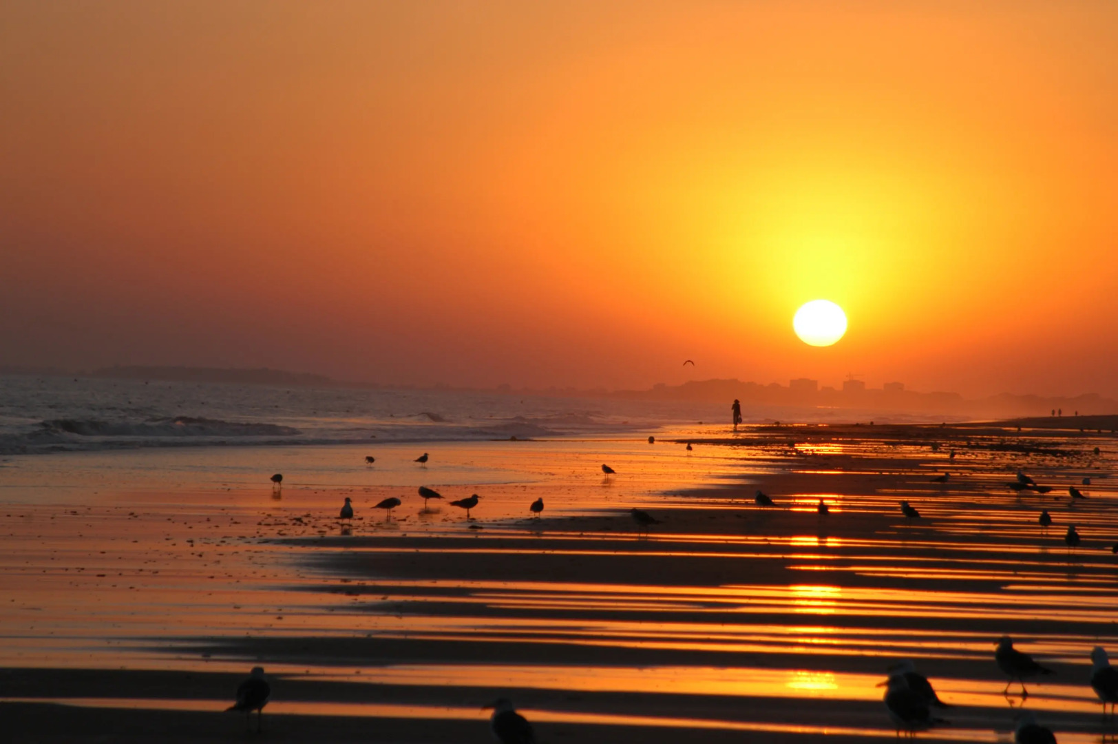 Leo Jardines de Isla Canela