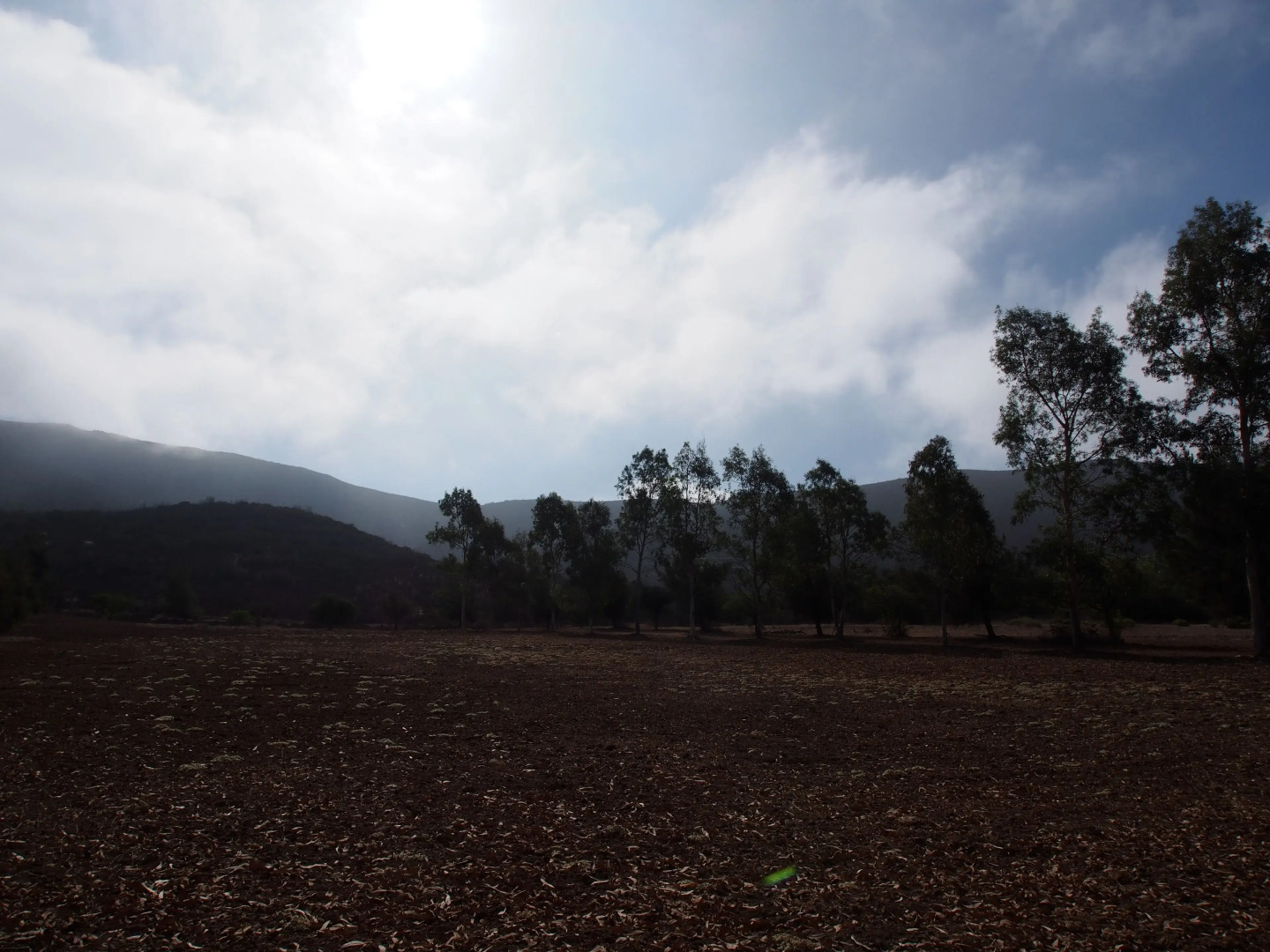 Casa Mayoral B&B Pet friendly