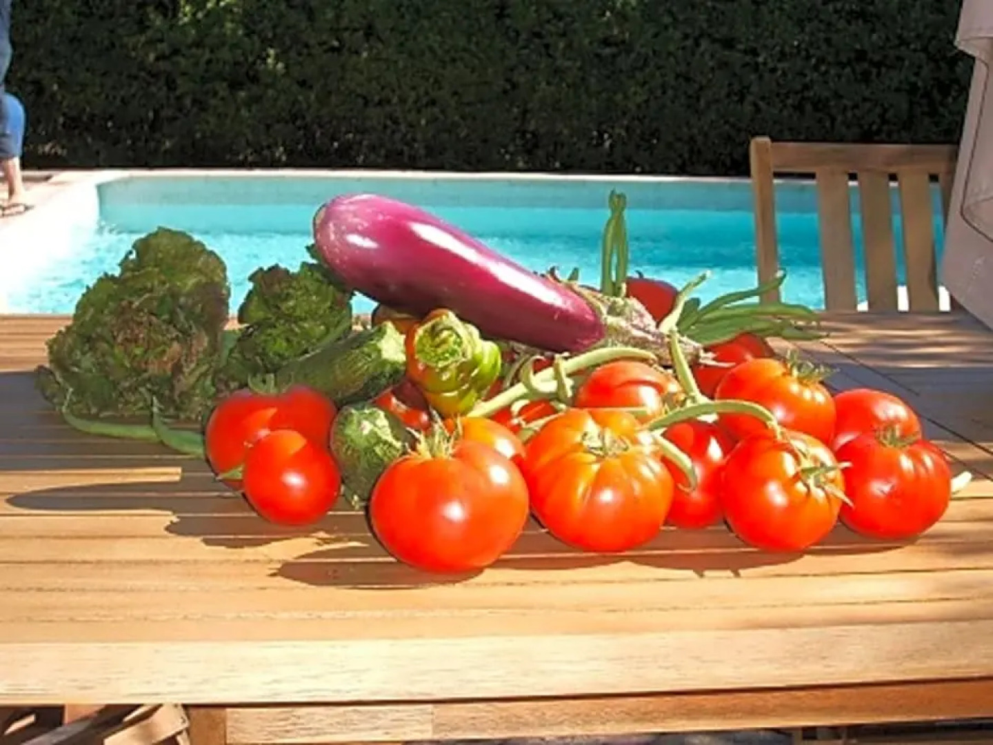 Chambres dhôtes Sous LOlivier