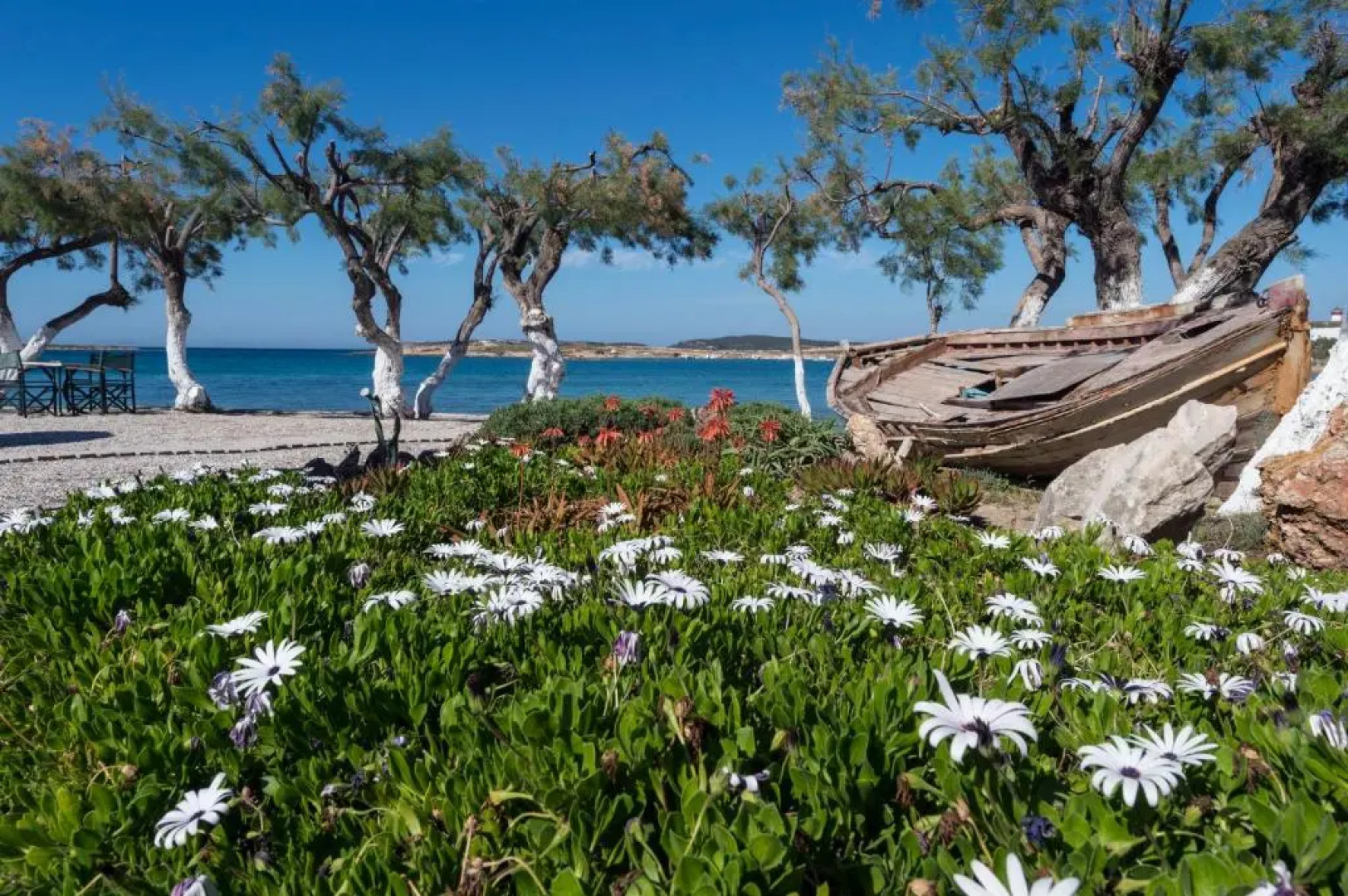 Hotel & Apartments Kalypso