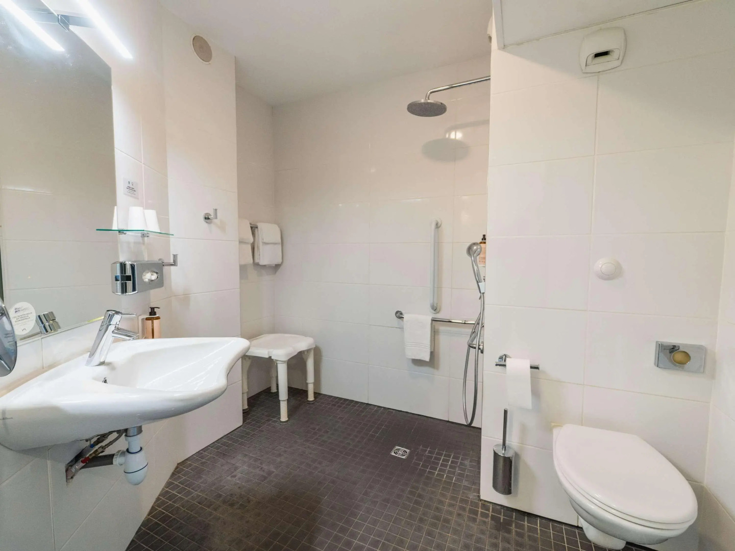 Mercure Poitiers Site du Futuroscope Hotel