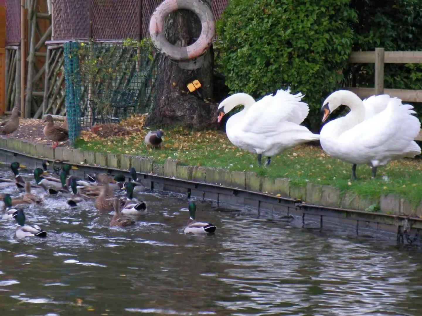 Stone - Boat - Sleeps 2 - Pet Friiendly- 85ws