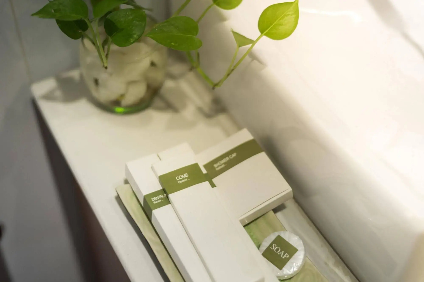 The 1959 Boutique Villa