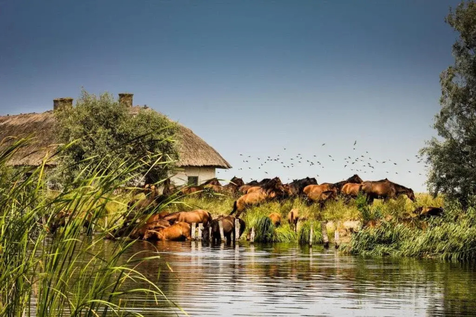 Bella Marina Hotel Plutitor cm