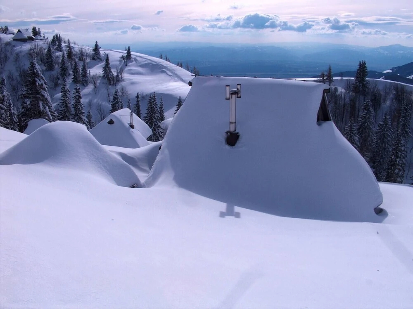 To Fall In Love - Chalet Zlatica - Velika Planina