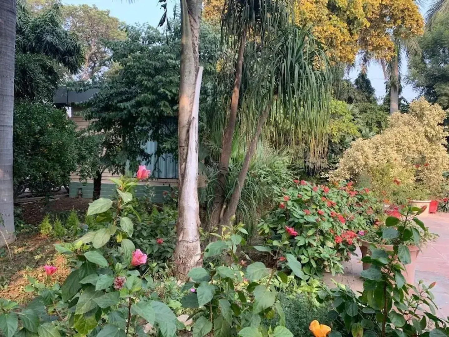 Best Western Radha Ashok