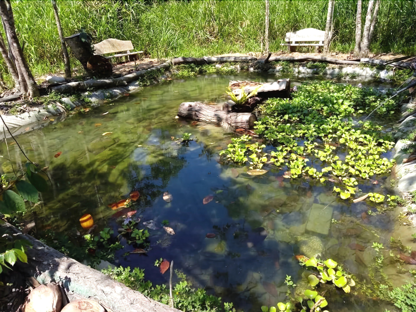 Chosa Manglar Nature Retreat