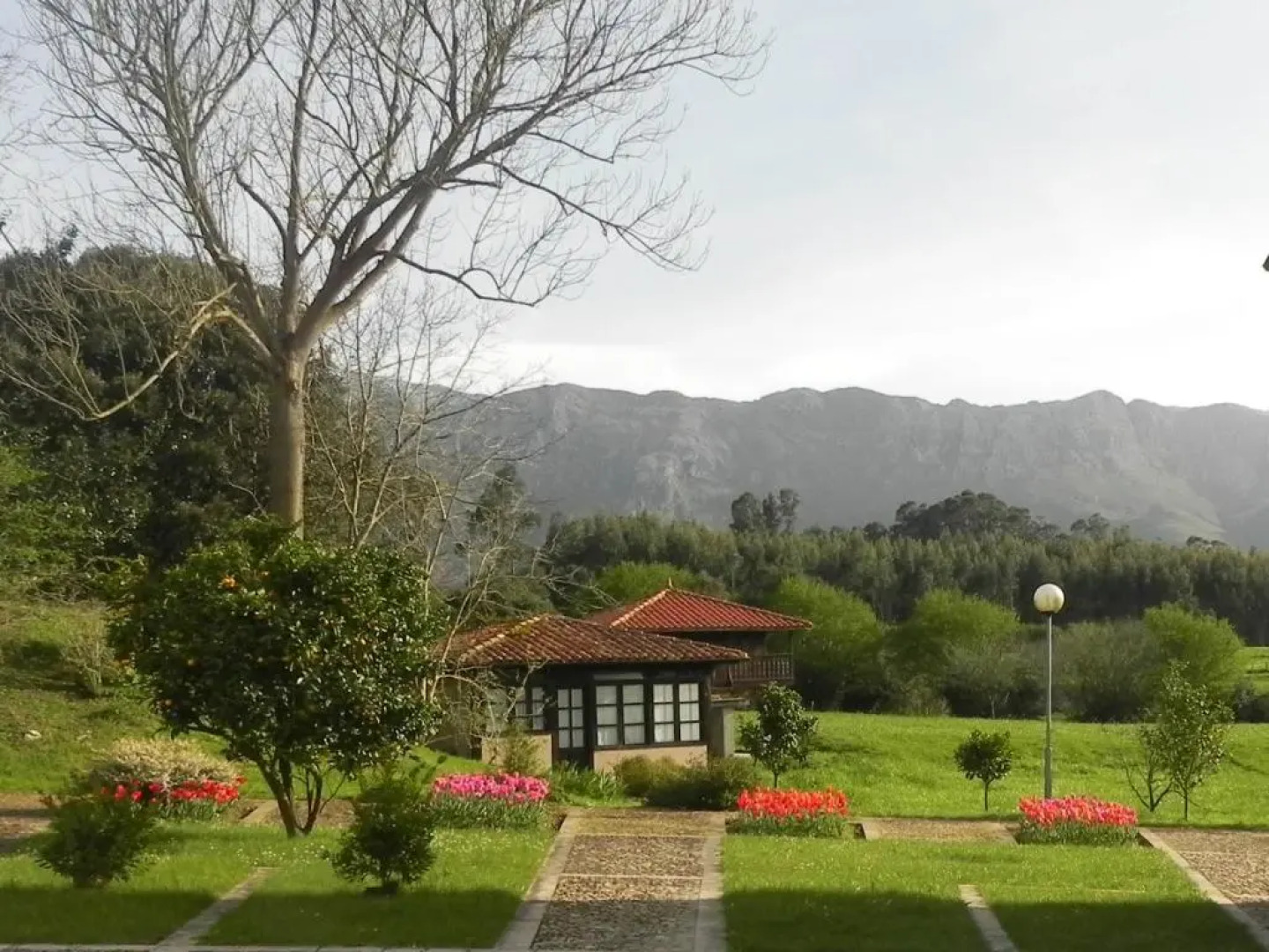 Apartamentos Turísticos Finca Las Nieves