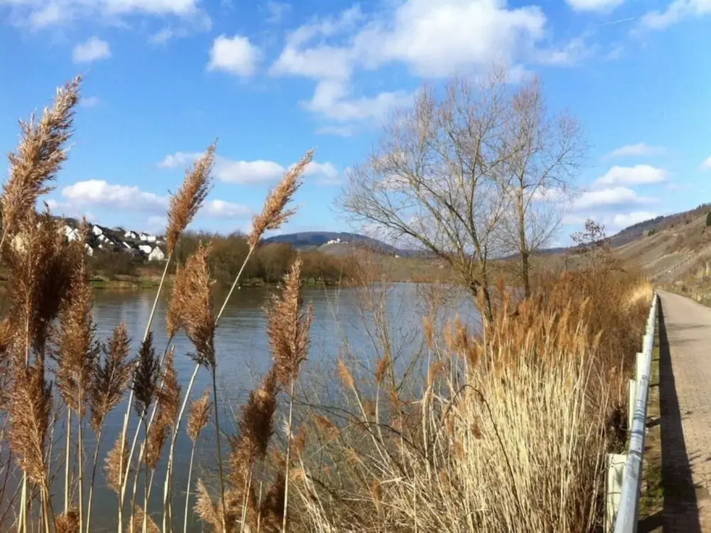 Holiday Apartment Cella